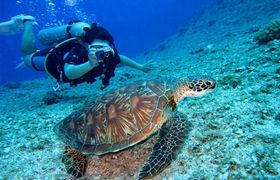 scuba-diving-in-goa.jpg